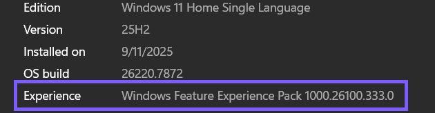 Windows 11 About page showing Windows Feature Experience Pack 1000.26100.333.0 outlined in WinSides purple