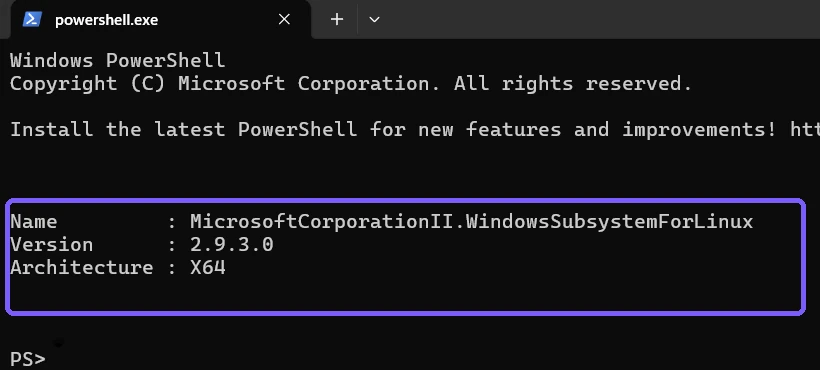 WSL Appx package result showing version 2.9.3.0 and X64 architecture outlined in purple