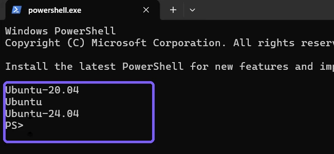 Names-only WSL list showing Ubuntu-20.04 Ubuntu and Ubuntu-24.04 outlined in purple