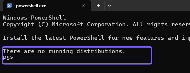 WSL result stating there are no running distributions outlined in purple
