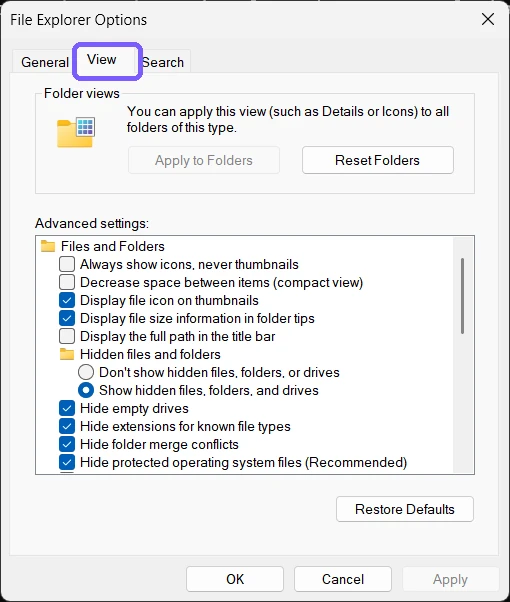 Windows 11 File Explorer Options dialog with the View tab selected