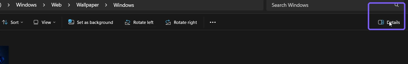 Details button on the right side of the Windows 11 File Explorer command bar