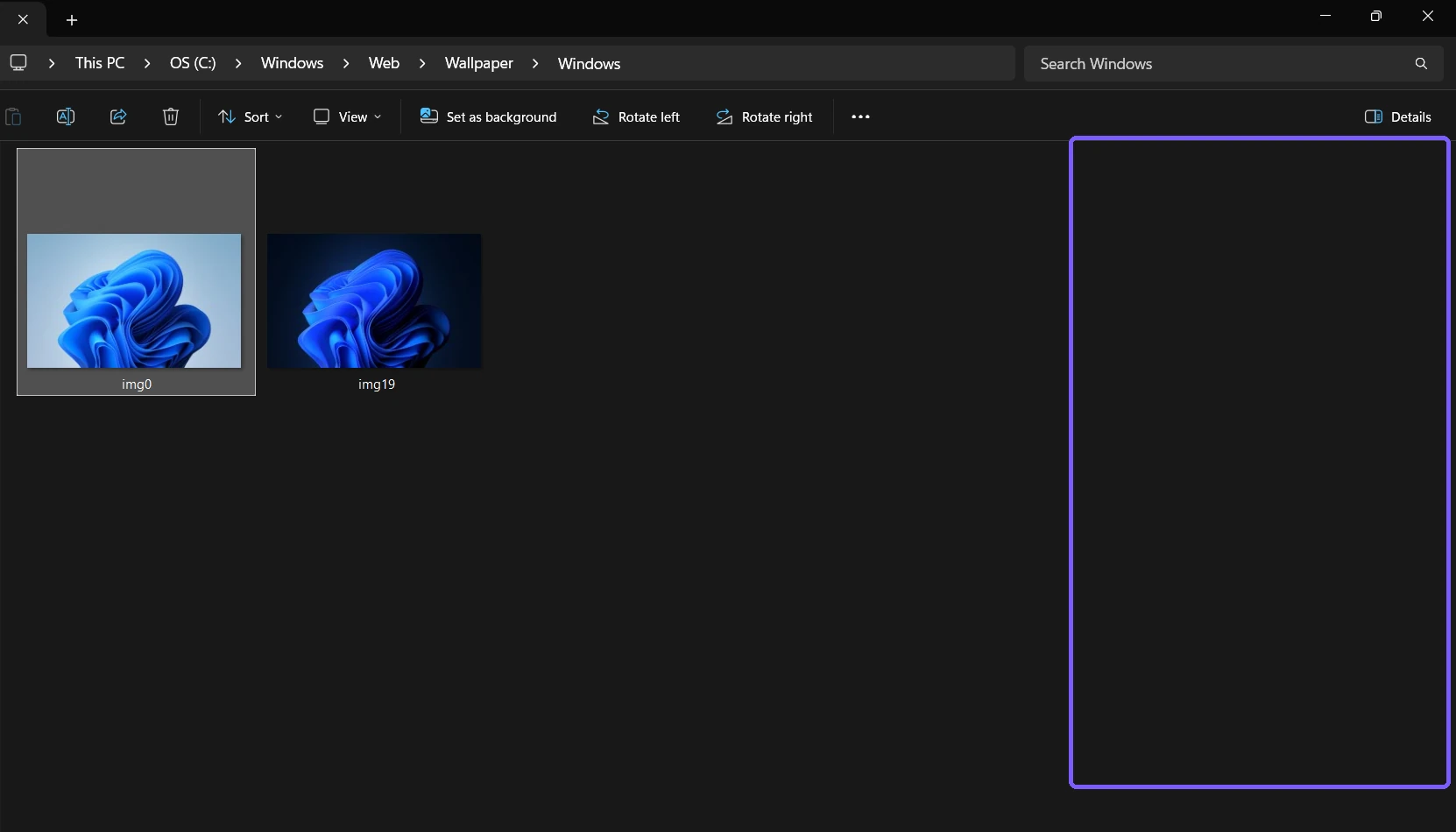 File Explorer with a public Windows wallpaper selected and the Preview pane hidden