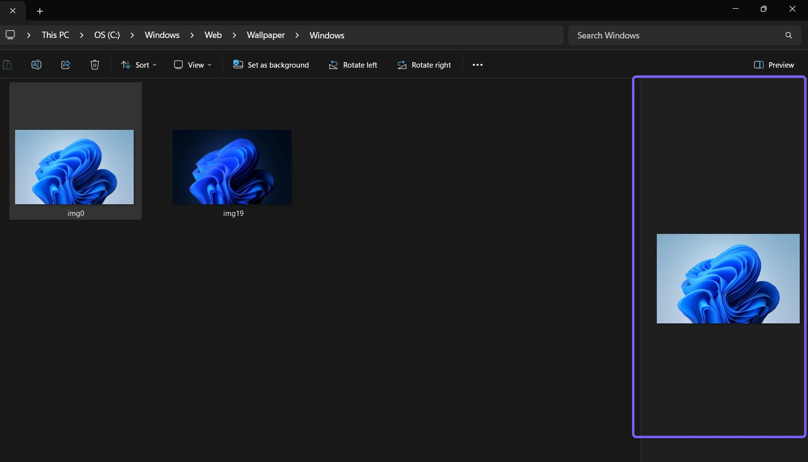 Windows 11 File Explorer showing a public wallpaper in the Preview pane