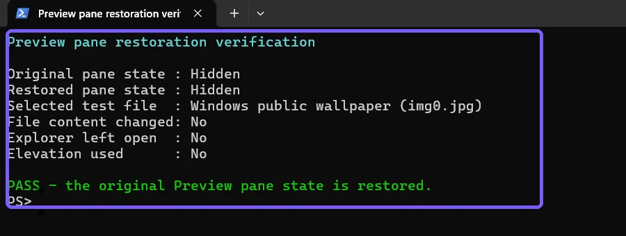 PowerShell verification confirming the original Preview pane state and unchanged public test file