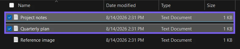 Two privacy-safe File Explorer items selected with visible check boxes and outlined in purple