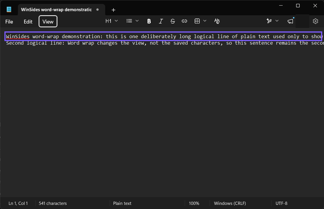 Long plain-text line continuing past the Notepad window while Word wrap is off, outlined in purple